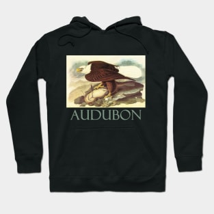 Bald Eagle by John James Audubon Hoodie